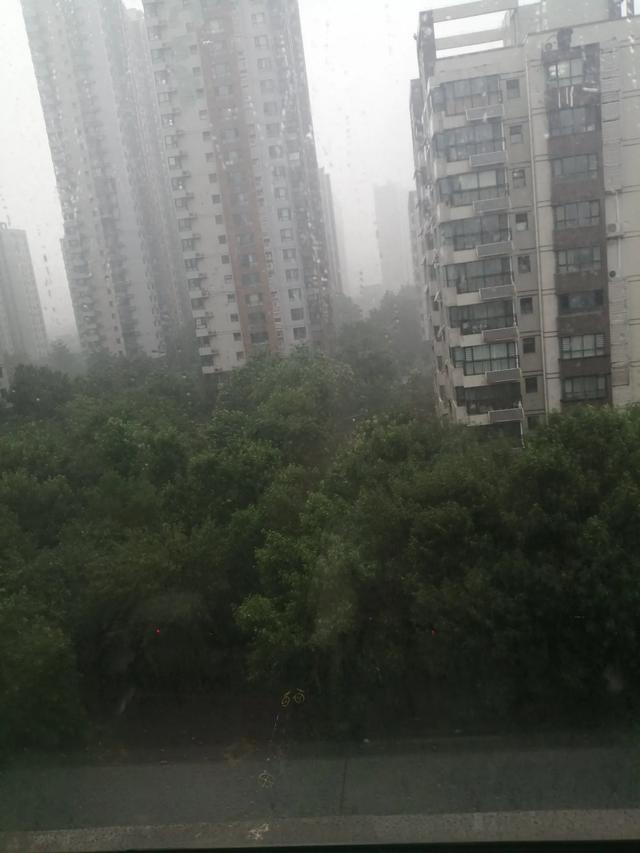 送亲手机铃声版下载视频手机铃声免费下载来电铃声歌曲-第3张图片-太平洋在线下载