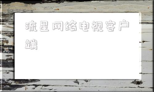 流星网络电视客户端2024接码短信平台