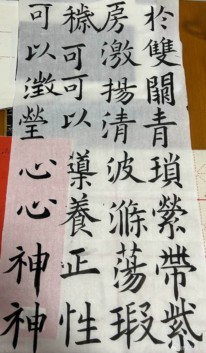 练字大师苹果手机版ipad练字软件哪个好