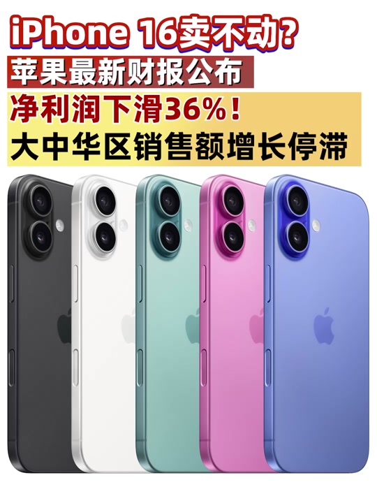 苹果未公开版手机苹果15公开版是什么意思