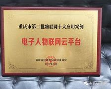 电子人物联网客户端中国国际招标网必联网