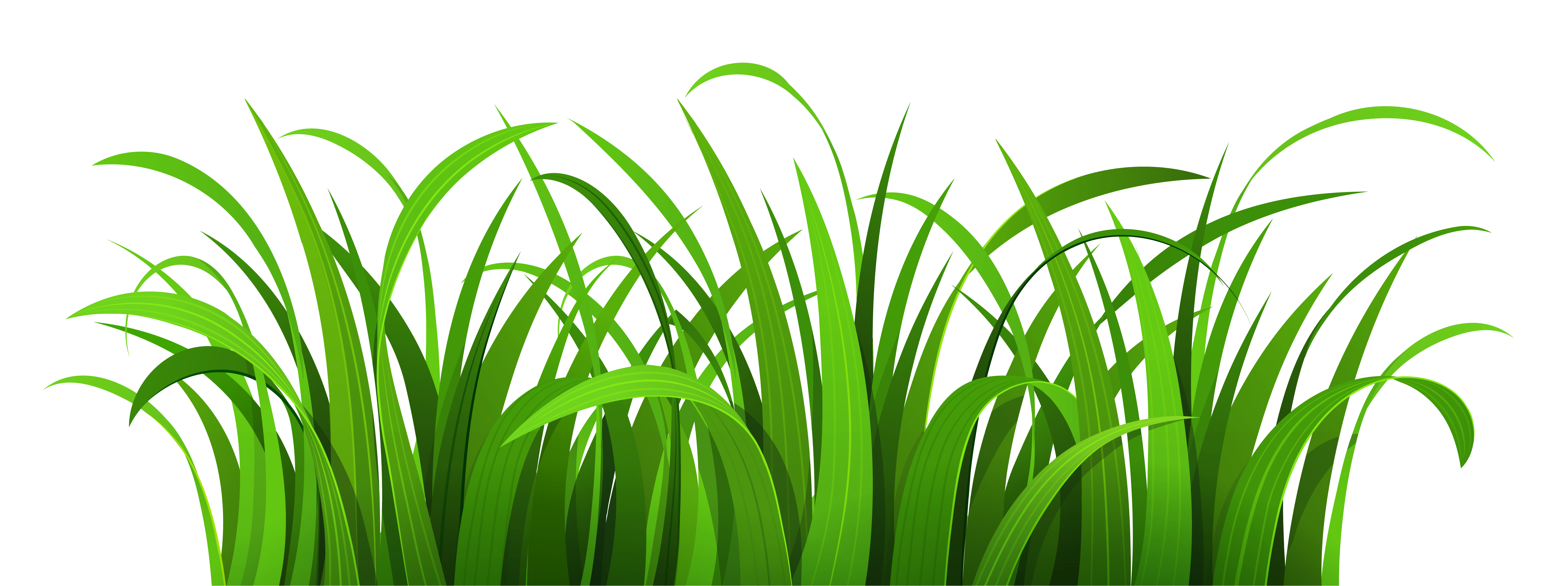 grass客户端grass挖矿教程