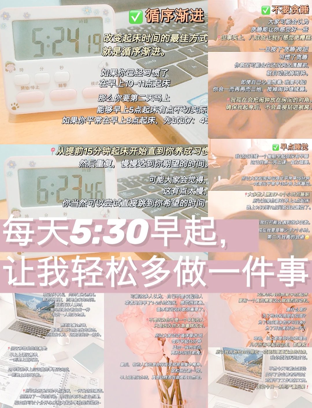 早起鸟安卓版早起的鸟儿土剧在线