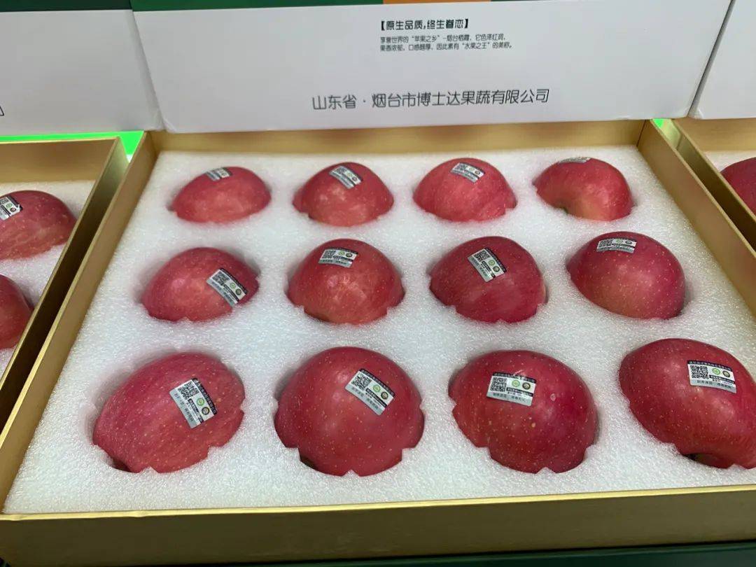 包含琼版苹果大量的词条-第2张图片-太平洋在线下载