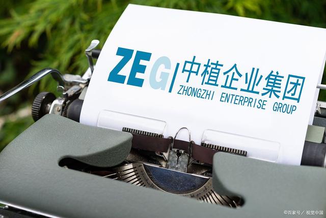 中植客户端中植企业集团有限公司破产清算案pc端入口